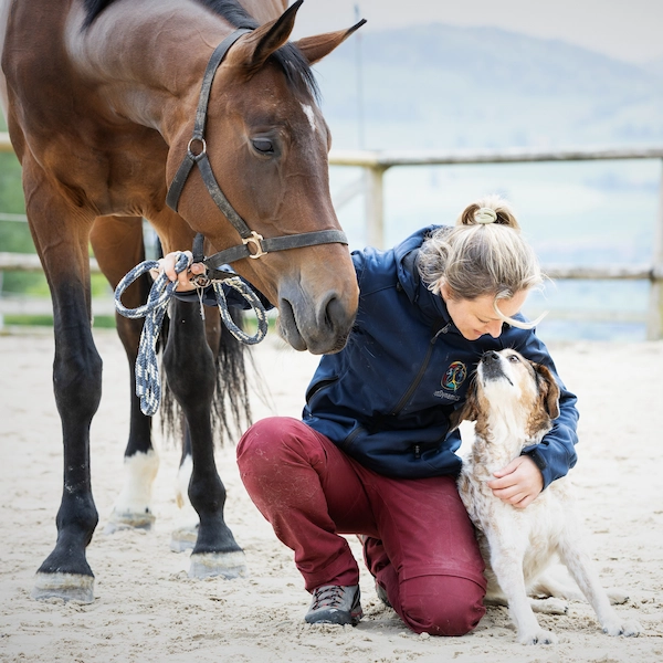 Hund, Pferd, Susanne Küker